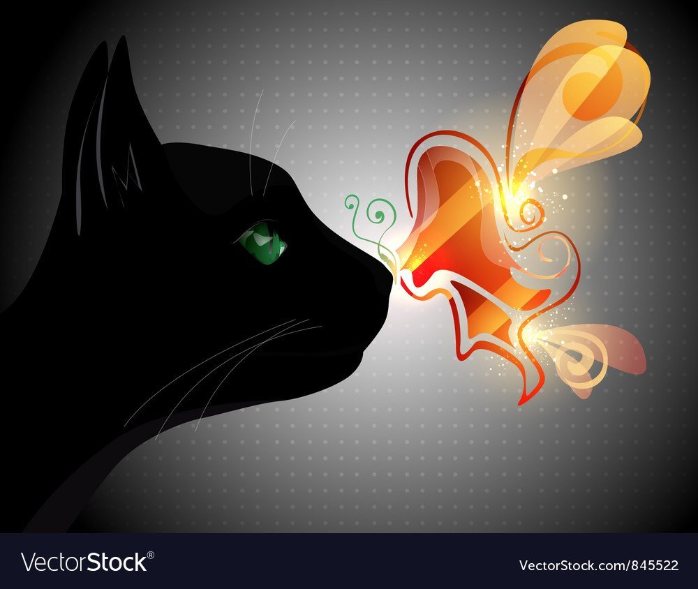 Черный кот с бабочкой на носу