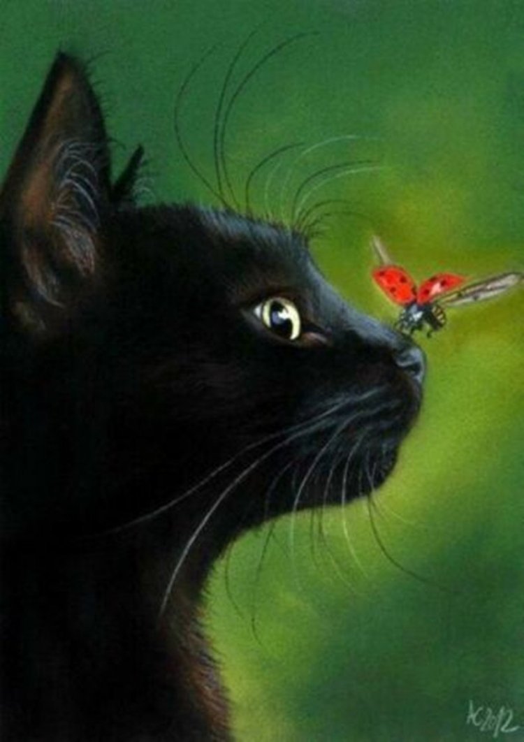 Черная кошка с бабочкой