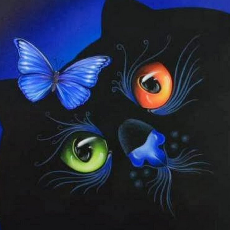 Кот у которого на носу сидит бабочка