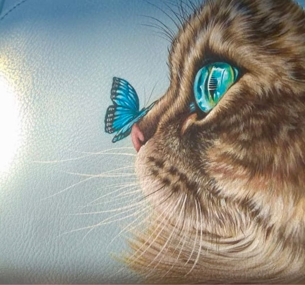 Кот с бабочкой на носу