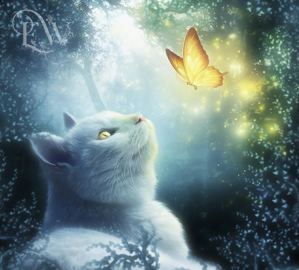 Сказочные кошки