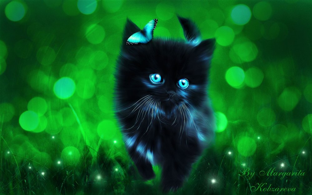 Силуэт кошки с бабочкой на носу