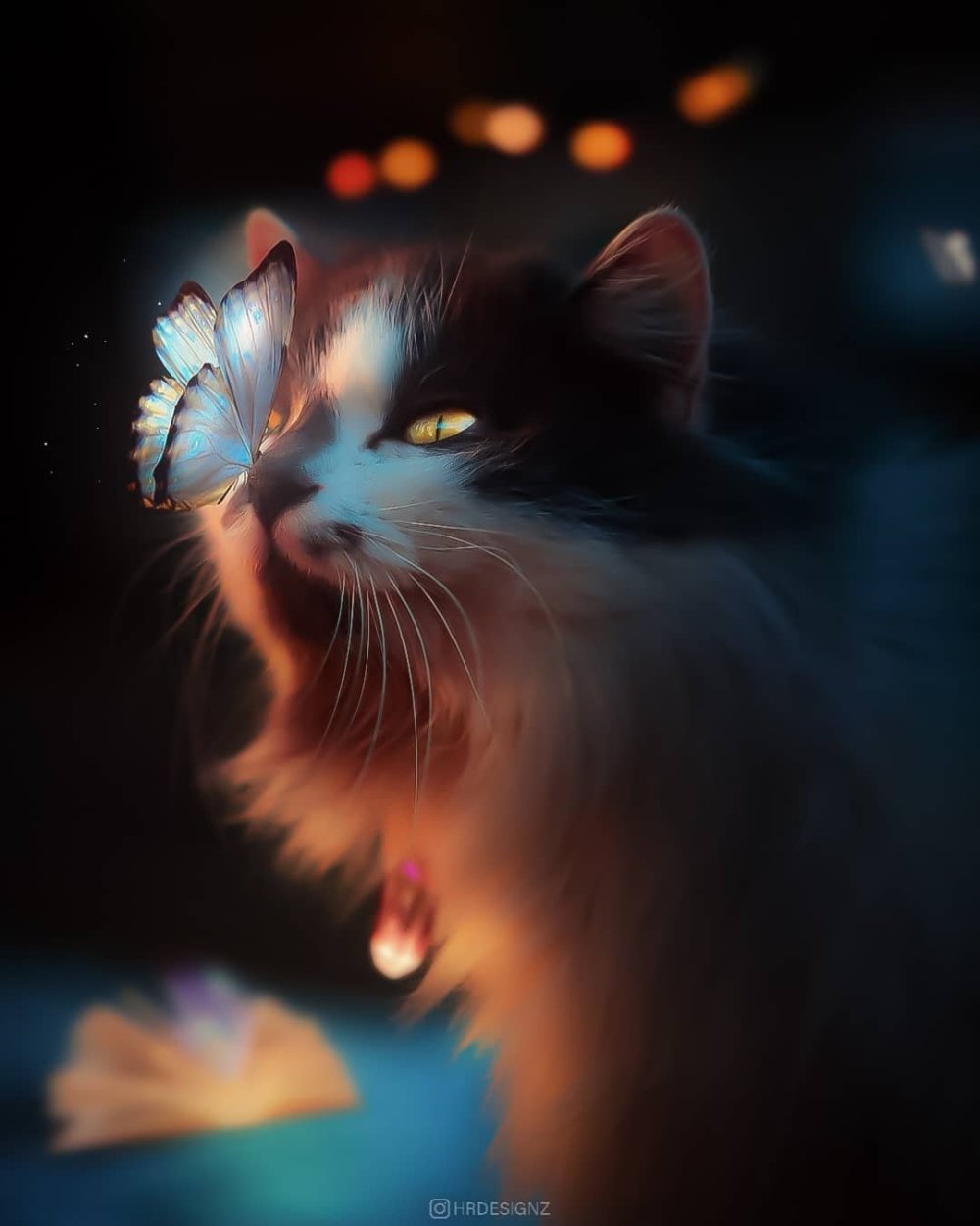 Котик с бабочкой