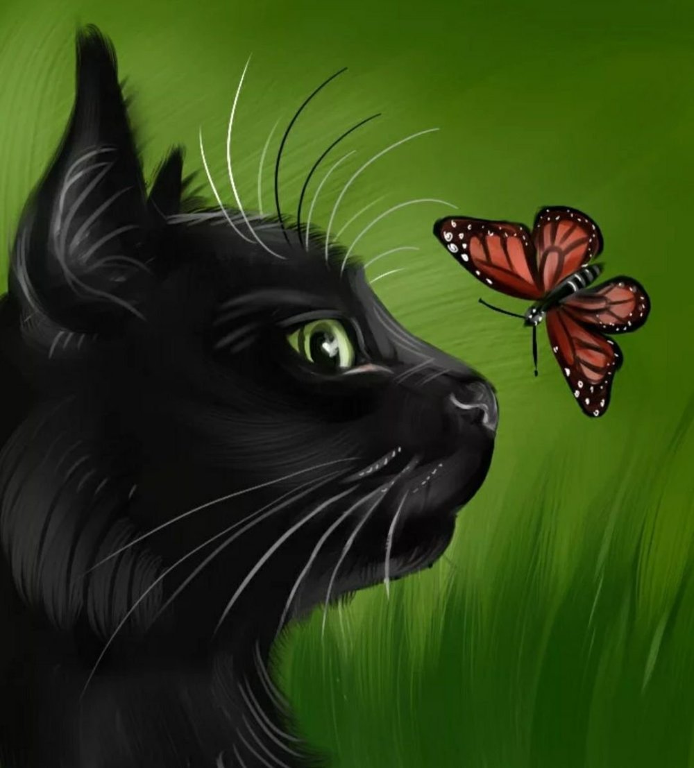 Кошачьи глаза в темноте