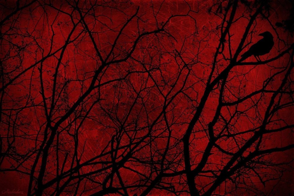 Прикольный темный фон