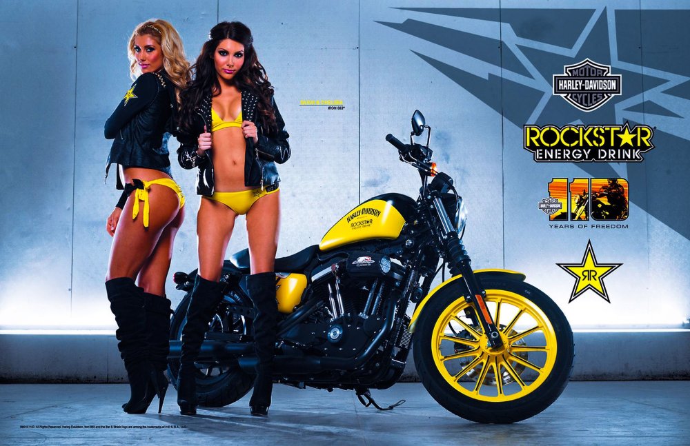 Харлей Дэвидсон Thunderbike