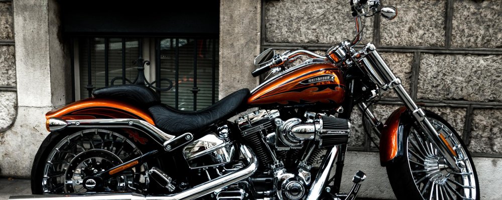 Ивана Миличевич Motorcycle Banshee Harley Davidson
