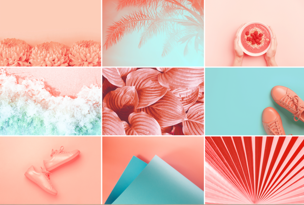 Постер в коралловых оттенках