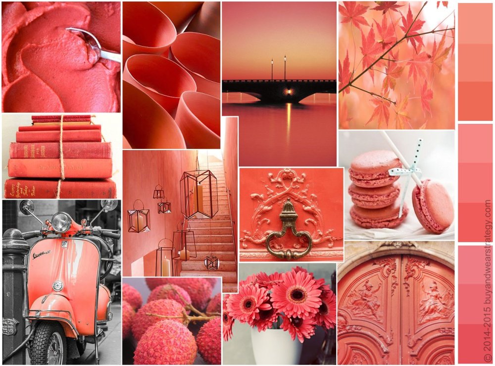 Розово-оранжевый цвет