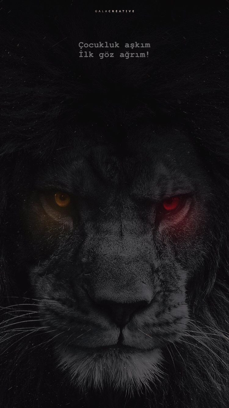 Лев с красными глазами