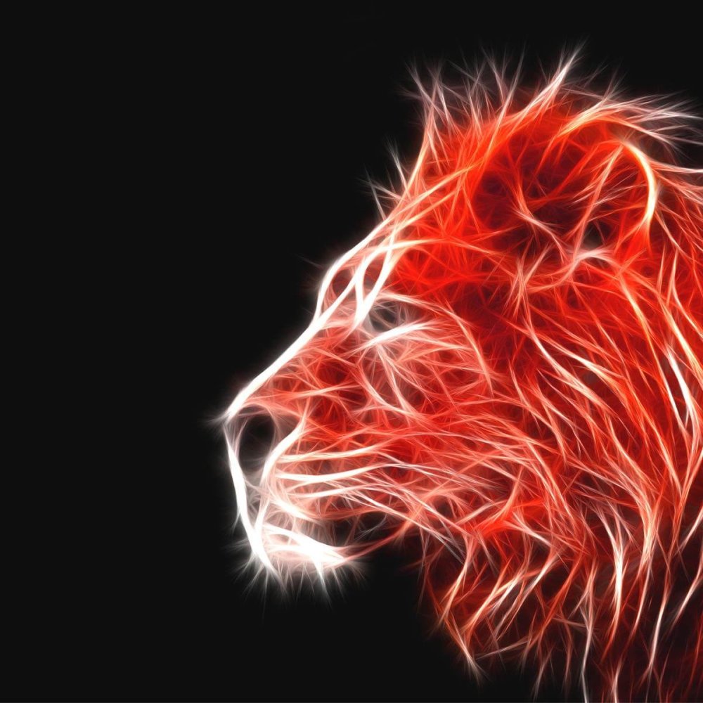 Лев на черном фоне