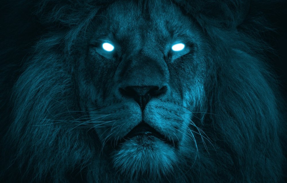 Черный Лев арт