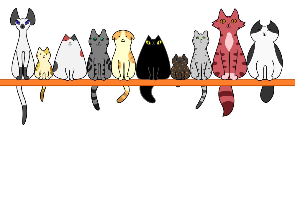 Котик на море