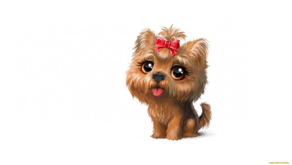 Шпиц терьер белый