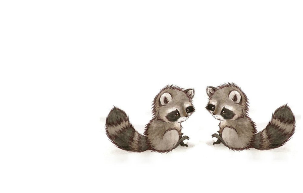 Котик на белом фоне