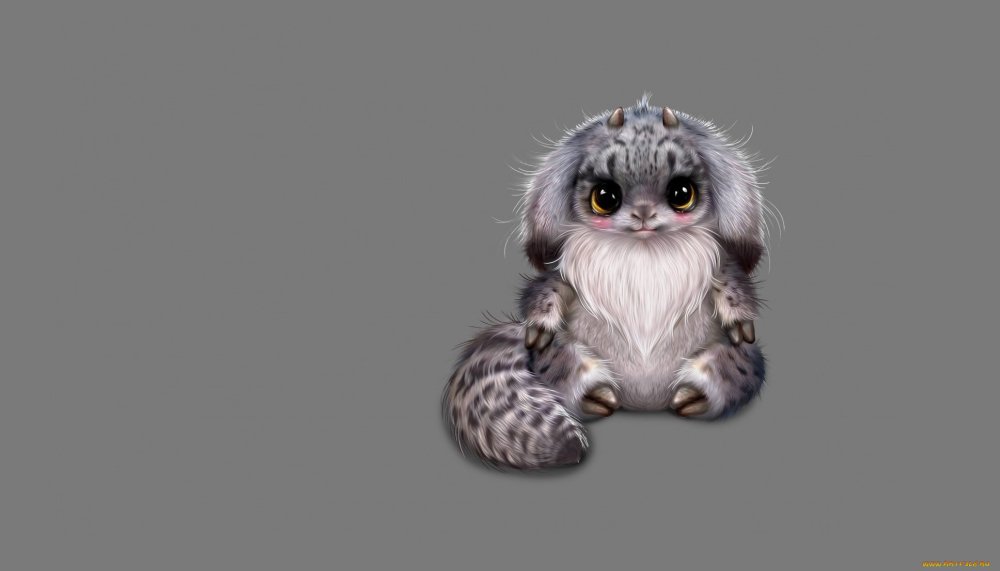 Собаки сиба ину милые