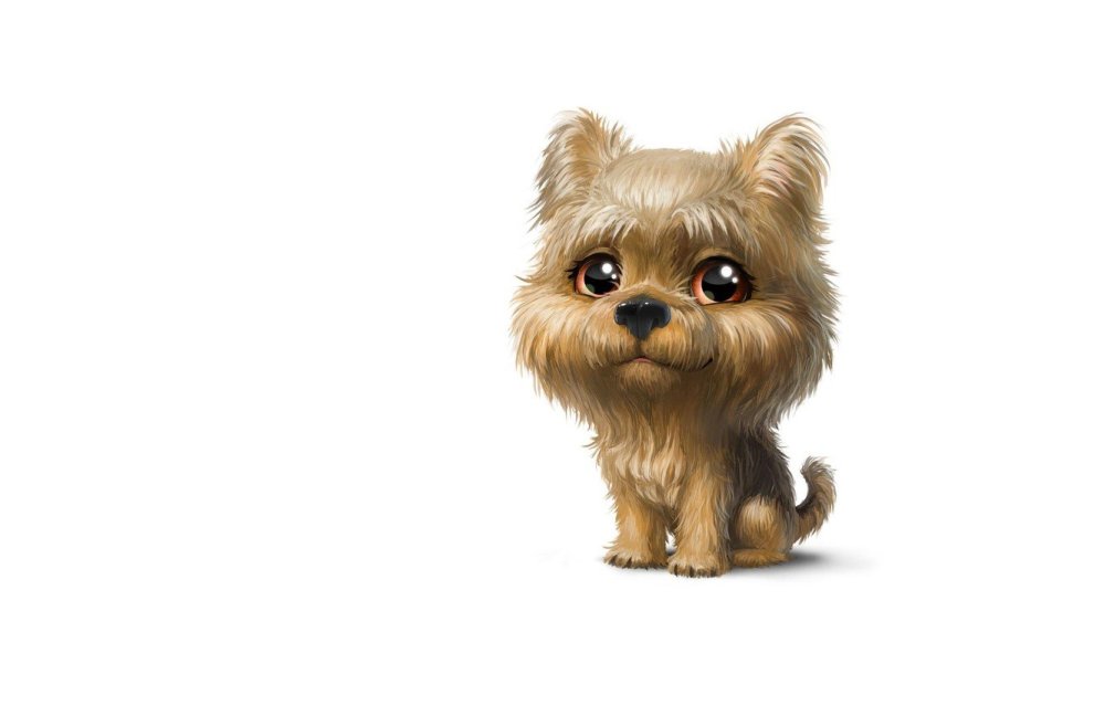 Белая кошка с голубыми глазами