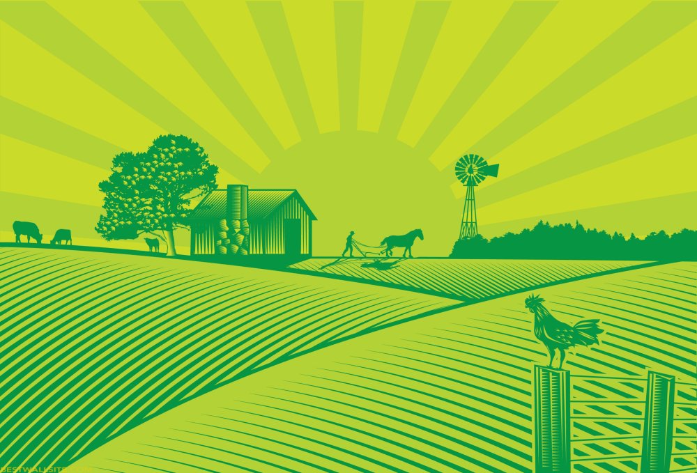 Сельское хозяйство вектор