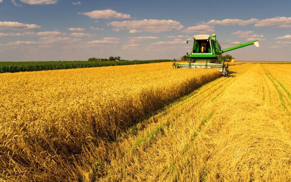 Сельское хозяйство арт