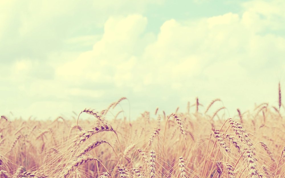 Фон с листьями Минимализм