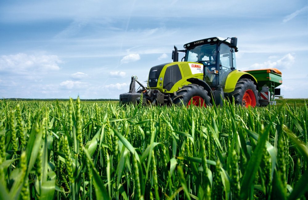 Паттерн листики