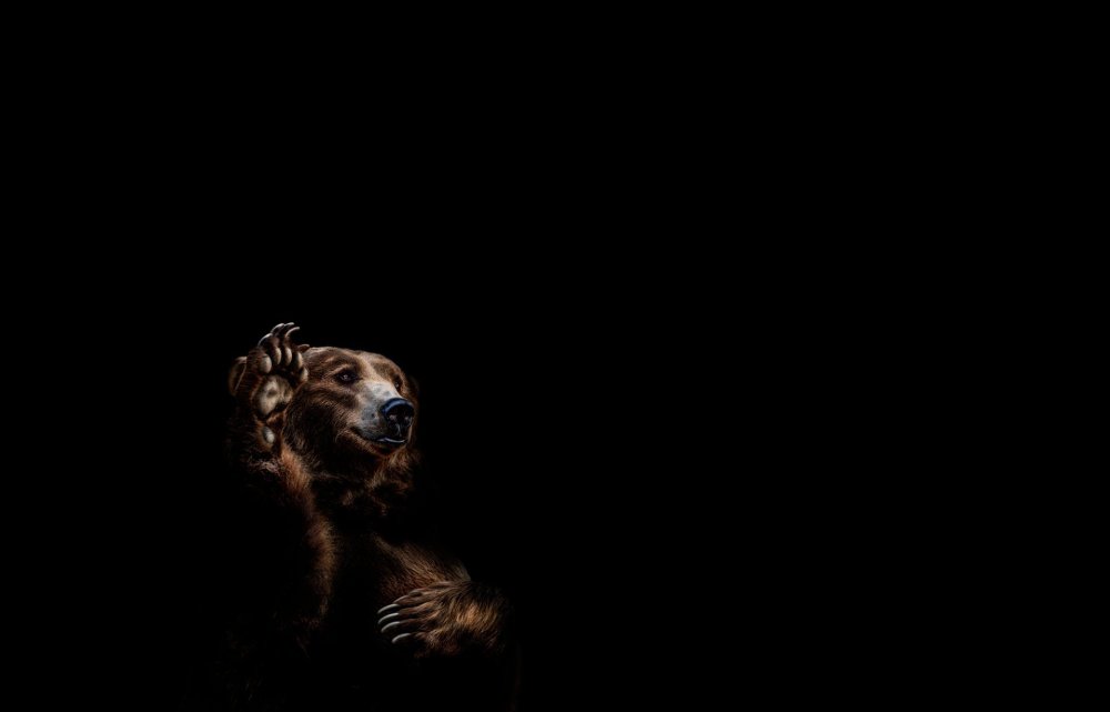 Картинки на черном фоне