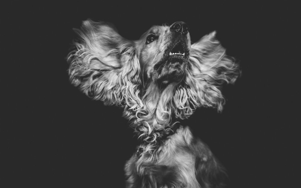 Рисунки на черном фоне