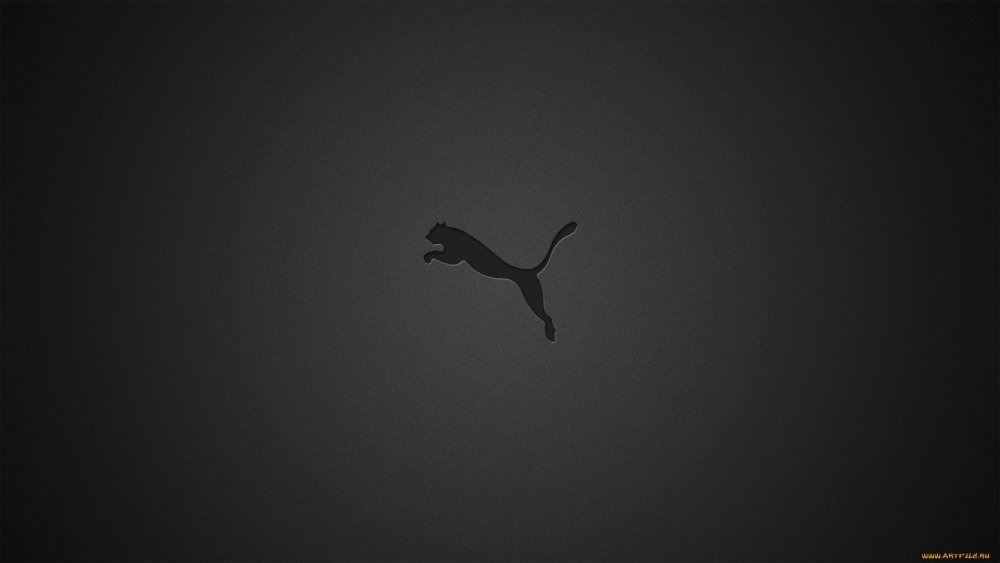 Леопард на черном фоне