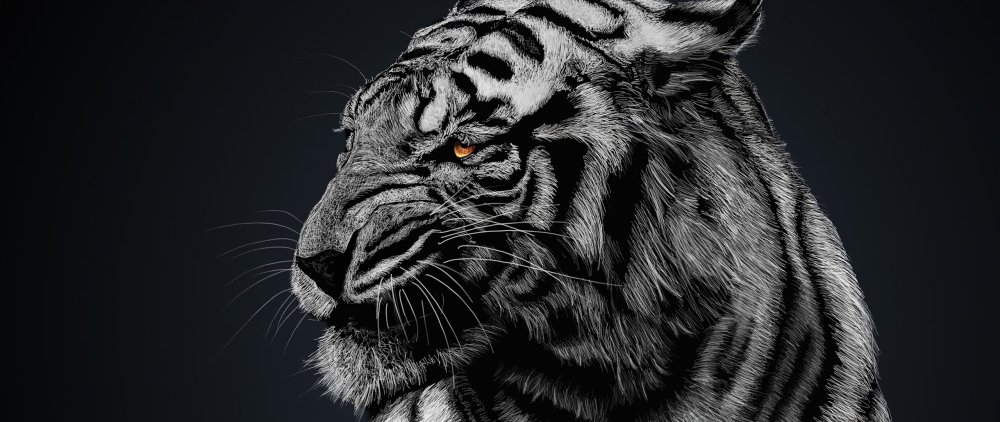 Леопард черно белый