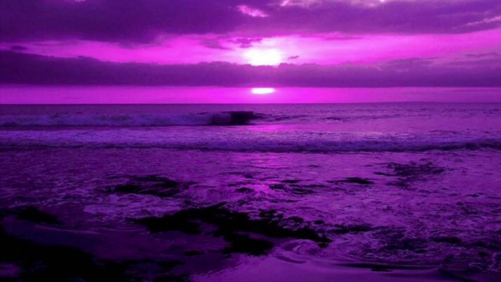 Тёмно фиолетовый фон