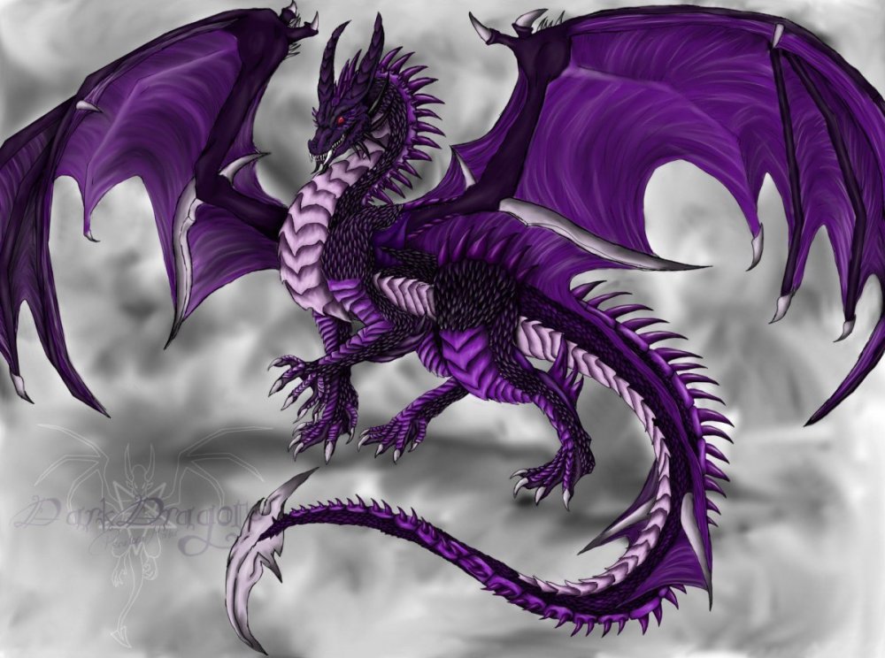 Пурпл дракон