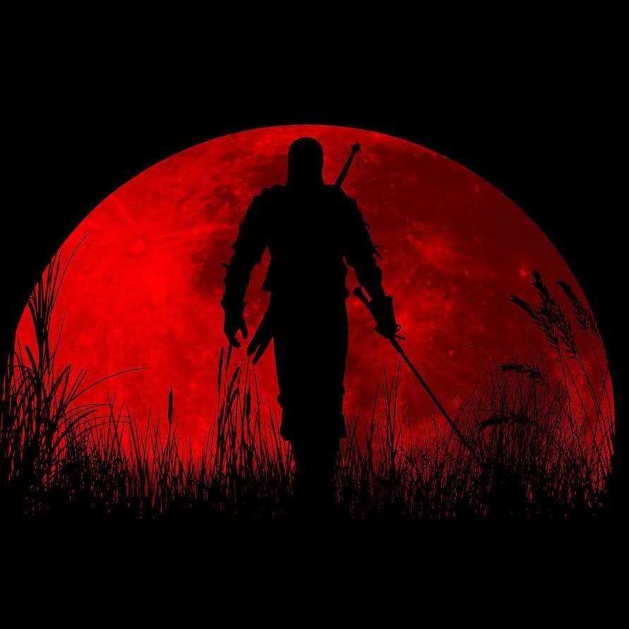 Самурай на фоне заката