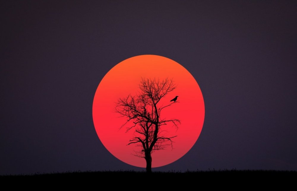 Самурай на фоне заката