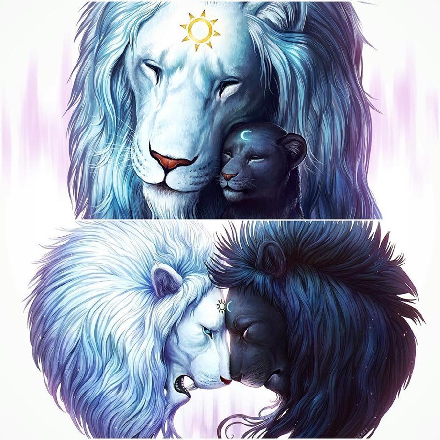 Лев и львица