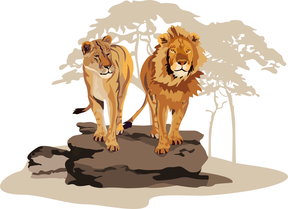 Львица иллюстрация