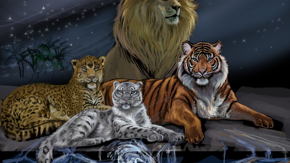 Ирбис тигр Лев леопард