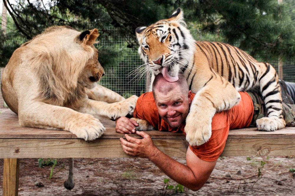 Женщина львица