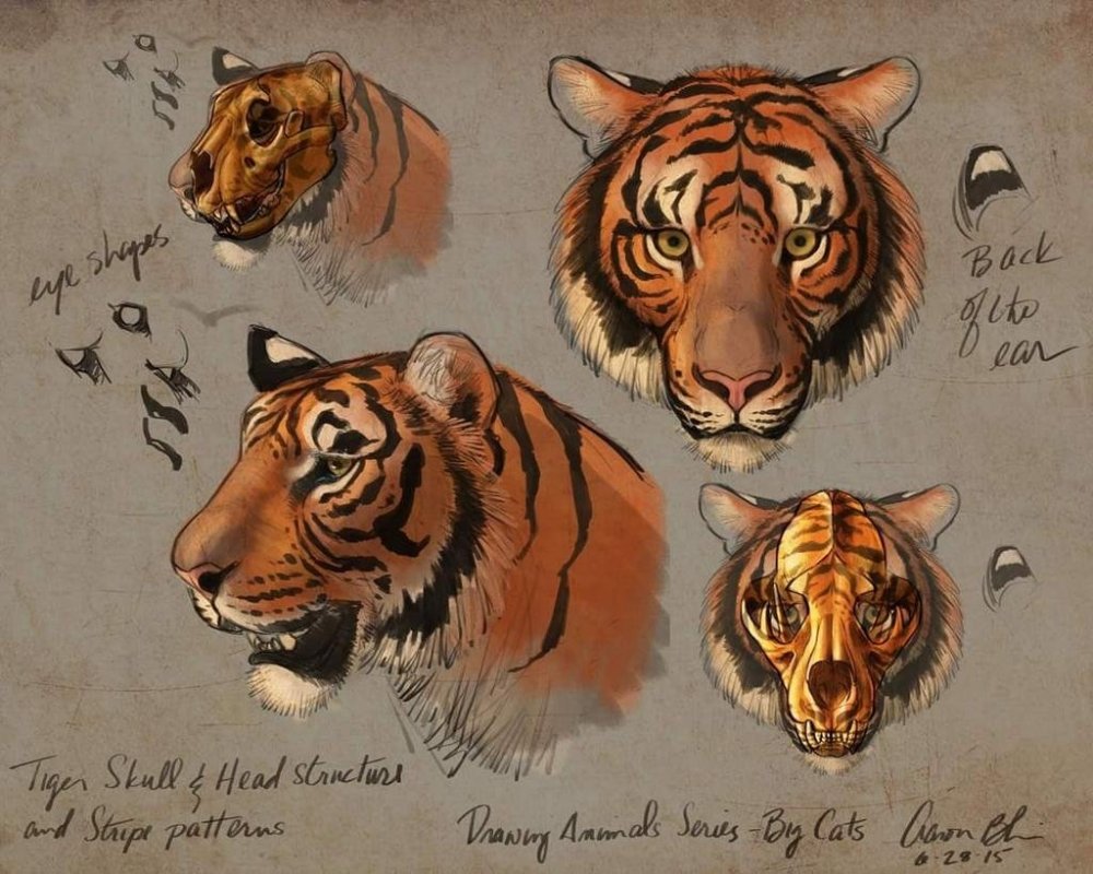 Обои на рабочий стол Лев на черном фоне