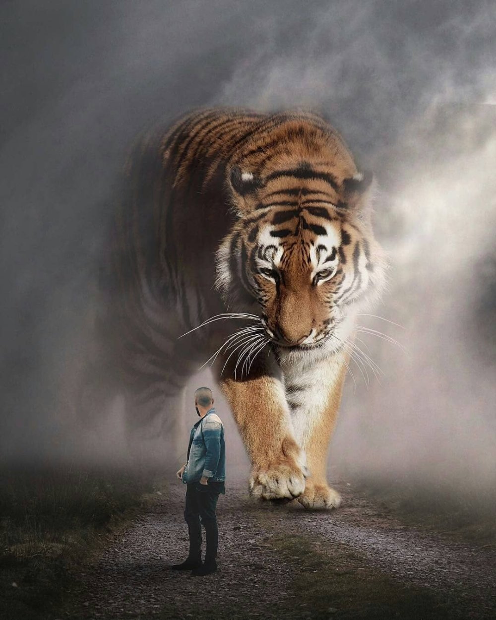 Тигр и лошадь