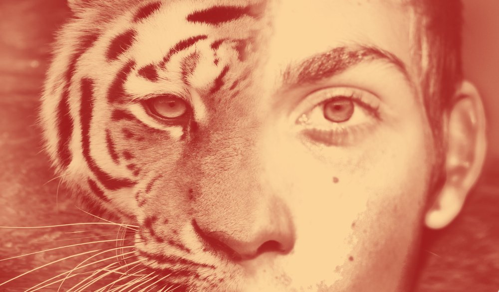 Лев и львица с короной