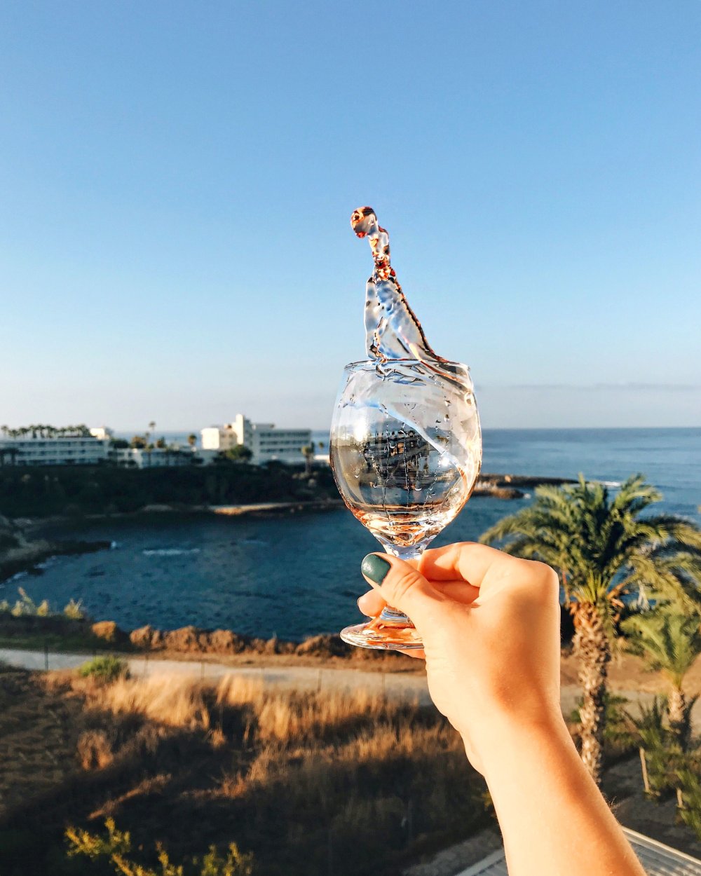 Море солнце вино