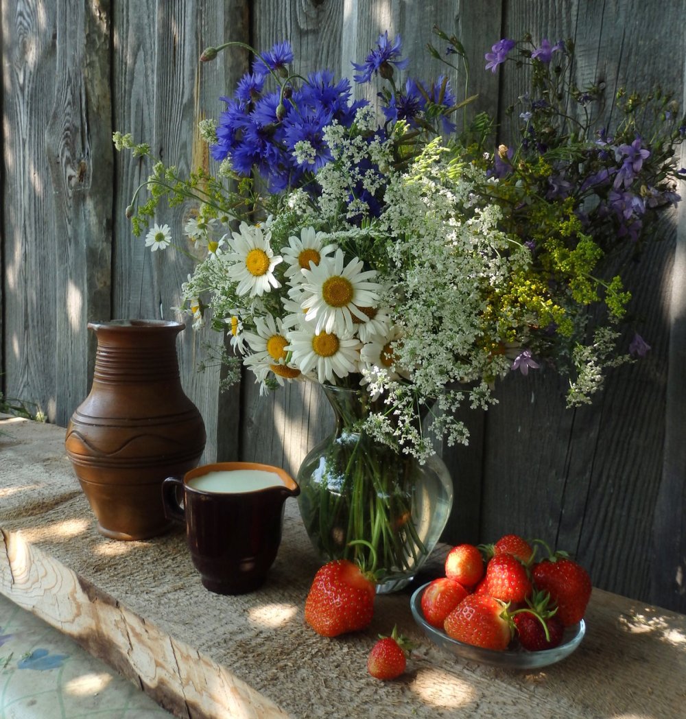 Космея Бабушкин палисадник