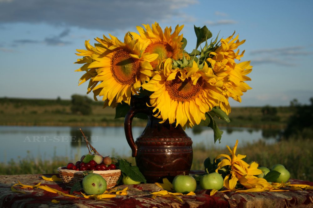 Осенний натюрморт с подсолнухами