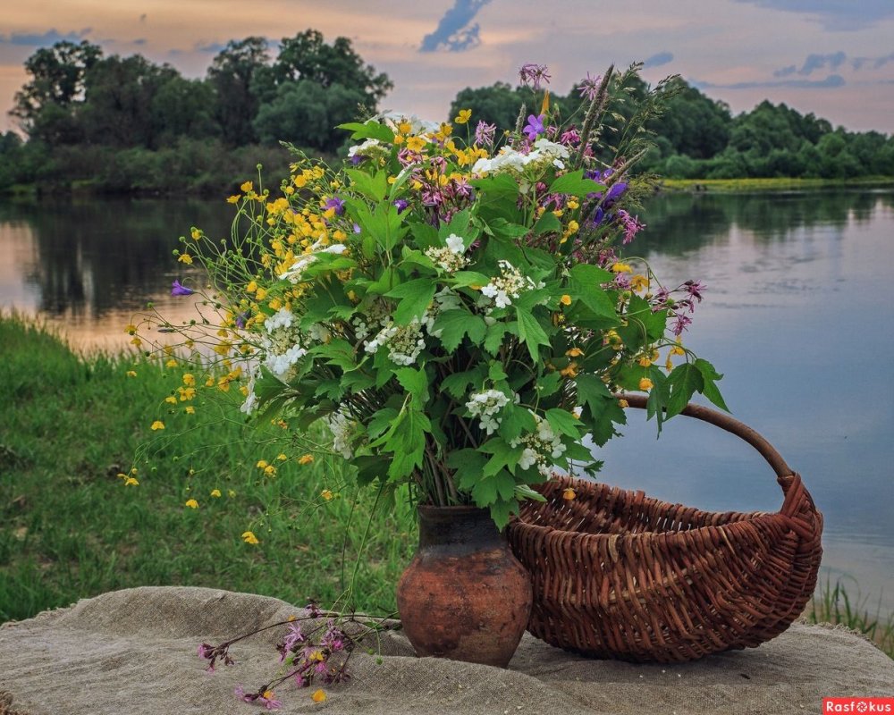 Натюрморт на природе