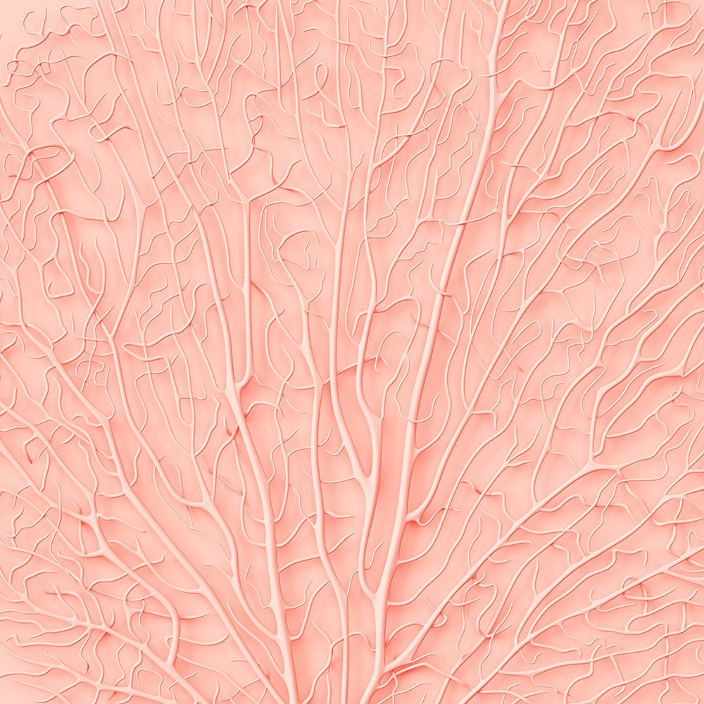 Однотонные цвета