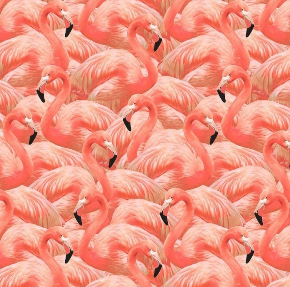 Яркий красный цвет