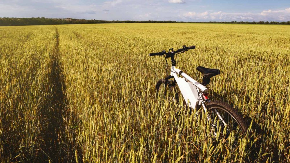 Лавандовый велосипед