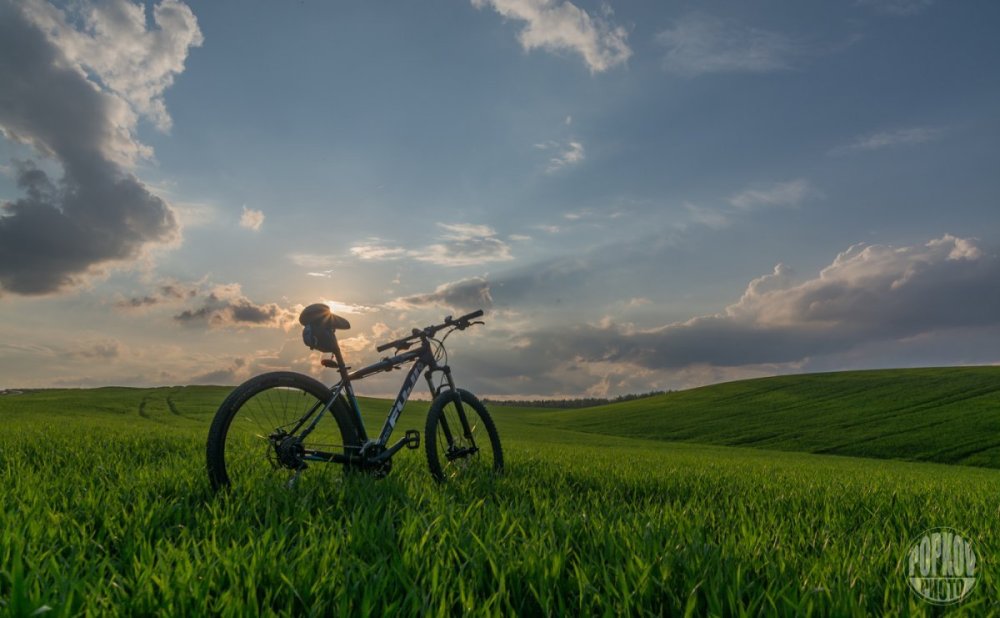 Байк в поле