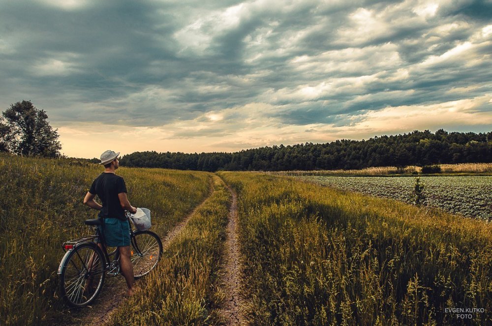 Велосипед цветы