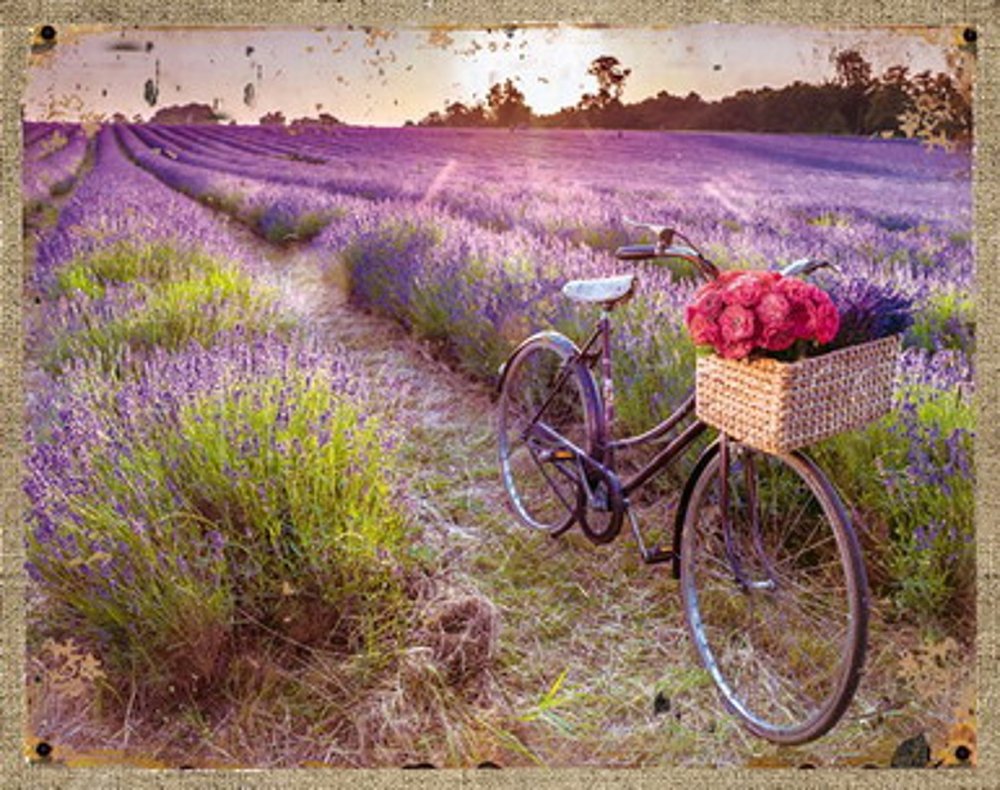 Велосипед лежит на траве